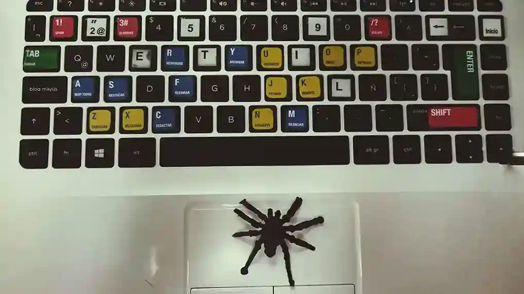 Software Bugs and Glitches